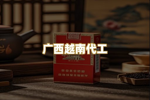 广西越南代工